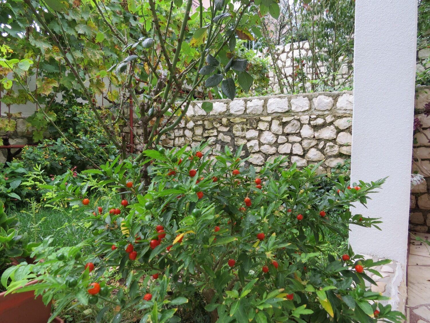 Apartment Bubi Τρογκίρ Εξωτερικό φωτογραφία